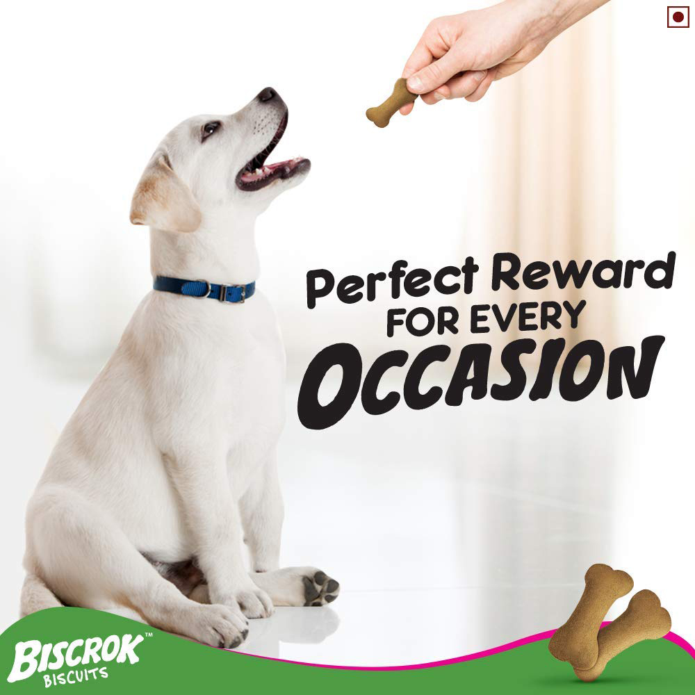 Biscrok Biscuits Dog Treats - Image 3