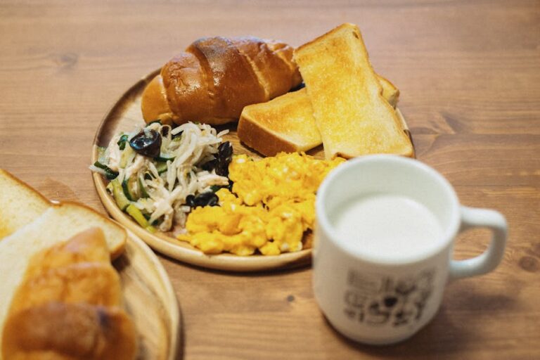 狗狗飲食與營養完整指南：台灣飼主必看10大選糧攻略