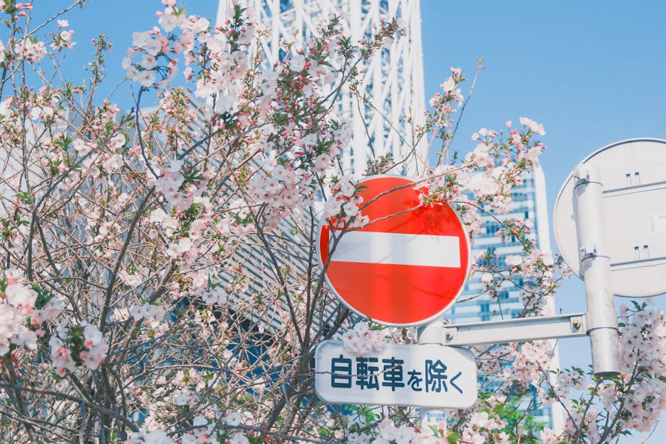 行為、訓練與溝通