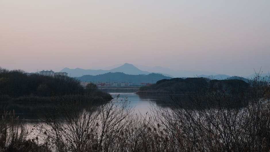寵物健康