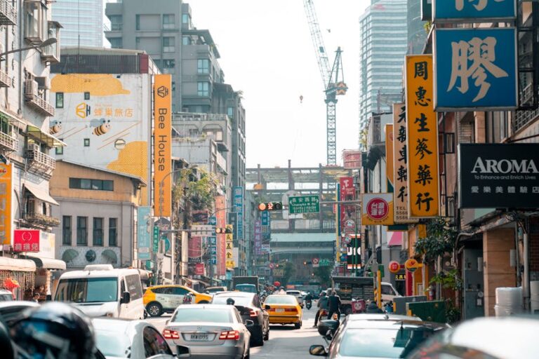 柴犬訓練與溝通完整指南：行為矯正與社會化攻略，新手必讀